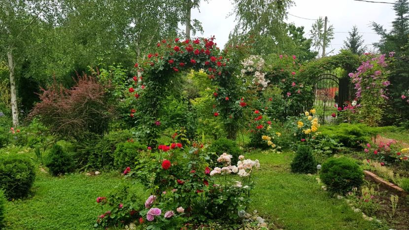  - 2019 Gradina Rozelor