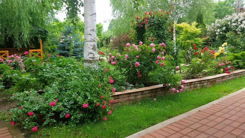  - 2019 Gradina Rozelor
