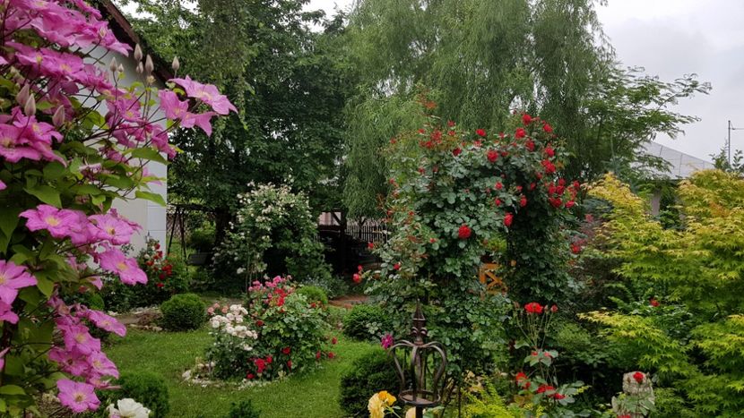  - 2019 Gradina Rozelor
