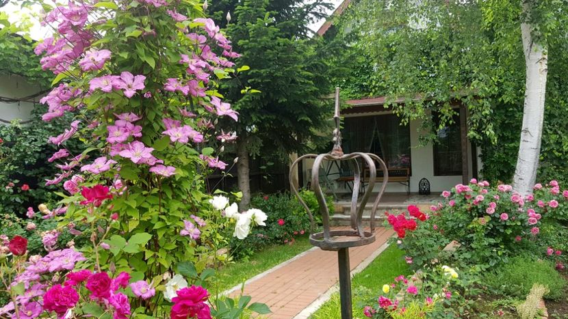  - 2019 Gradina Rozelor