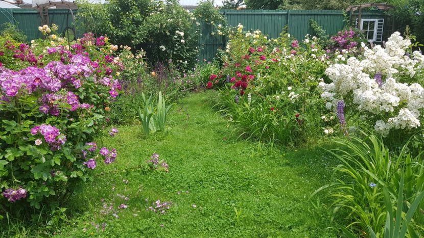  - 2019 Iunie Idilic Garden