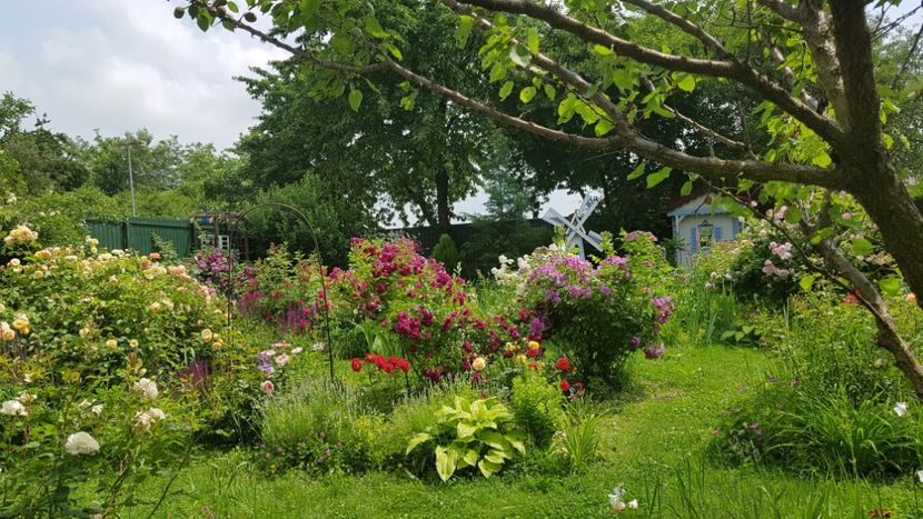  - 2019 Iunie Idilic Garden