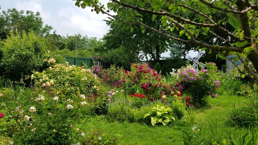  - 2019 Iunie Idilic Garden