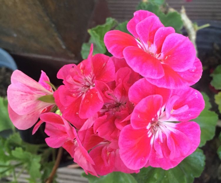 222E6125-D8AB-4A91-A2D5-C3338D10FDFB - 2019