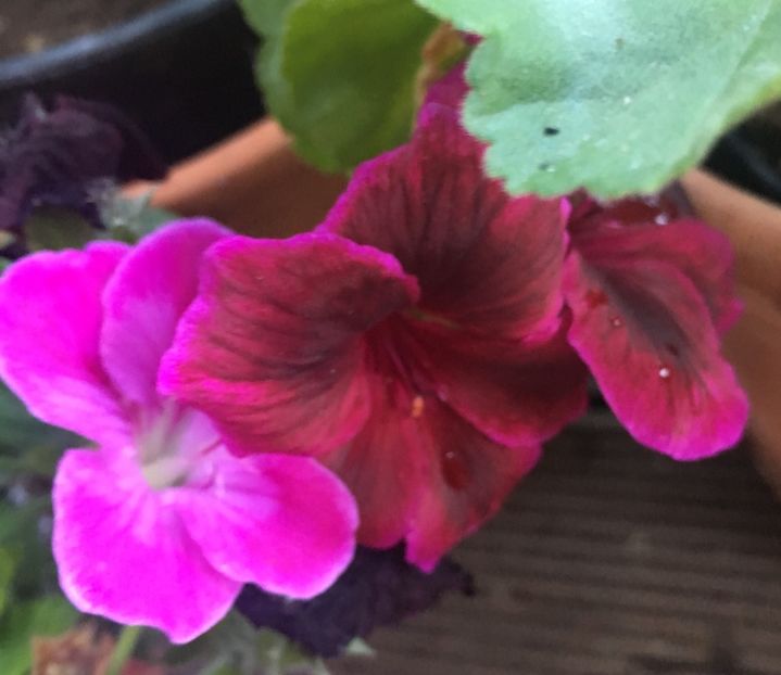 96799674-C5F9-43D6-A2CF-612070669F4E - 2019