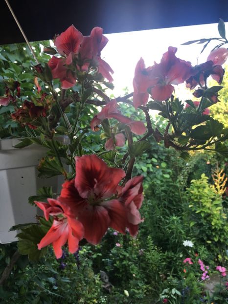 6C7FD41C-3D90-47C2-B2DA-6FC403F2945D - 2019