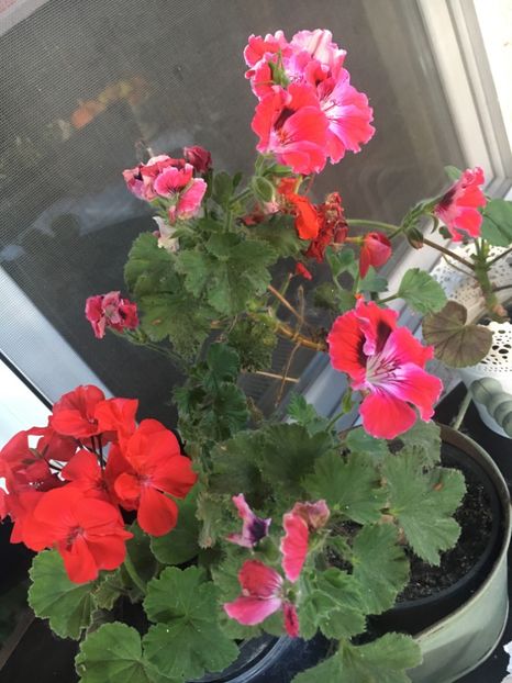 0B4B598E-99CA-45F4-8D45-3D5CD8DB0C9B - 2019