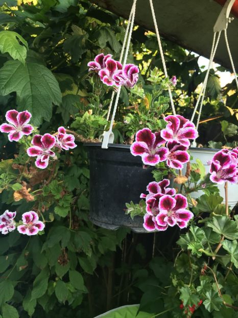 A892E91C-0FF9-45CA-A8F9-69F70E064BA0 - 2019