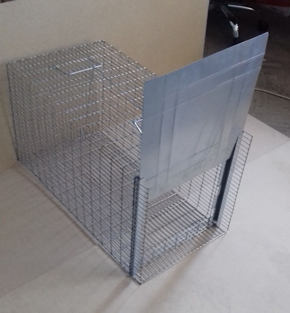 Capcana pisici 75 cm - 195 lei - CAPCANA PISICI - 195 lei