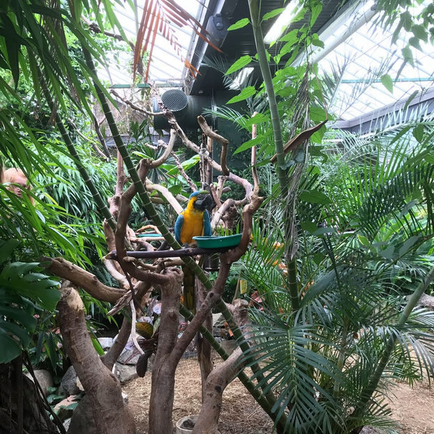  - Butterfly Gardens