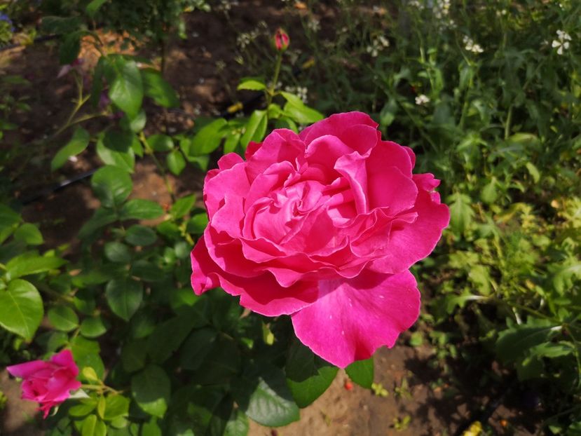  - Mai 2019