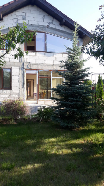  - Gradina si trandafirii 2019
