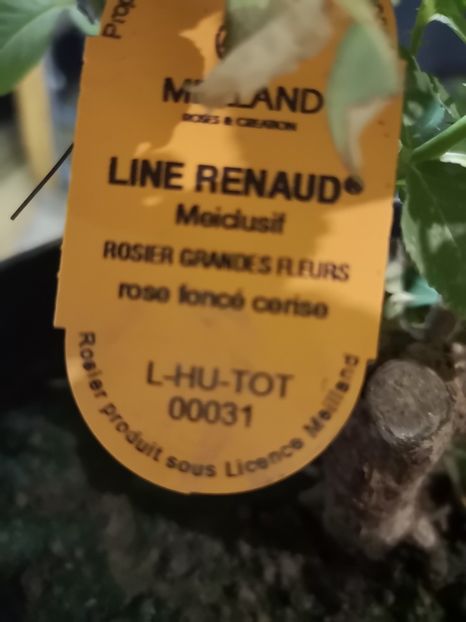  - Mai 2019