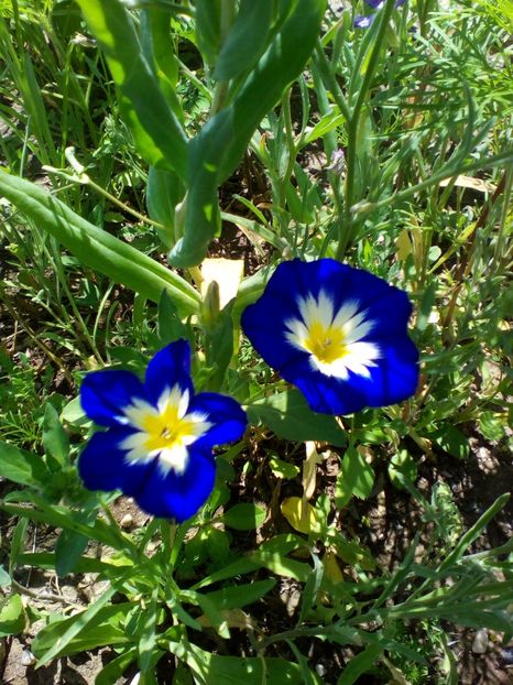  - curtea cu toate cele 2019