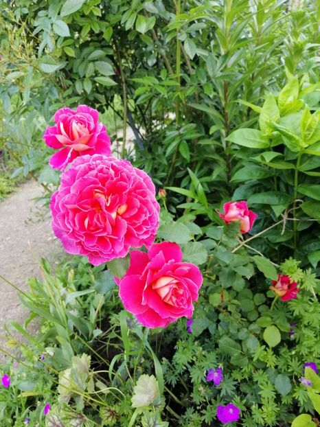  - Dominique Massad Reine Samut