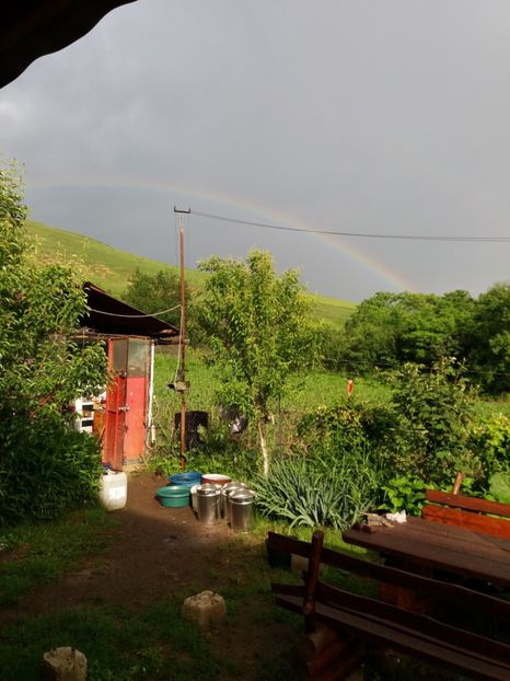 20190603_184033 - Copy - Casuta noastra de la tara