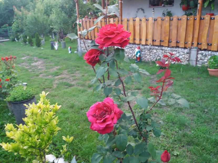  - Casuta noastra de la tara