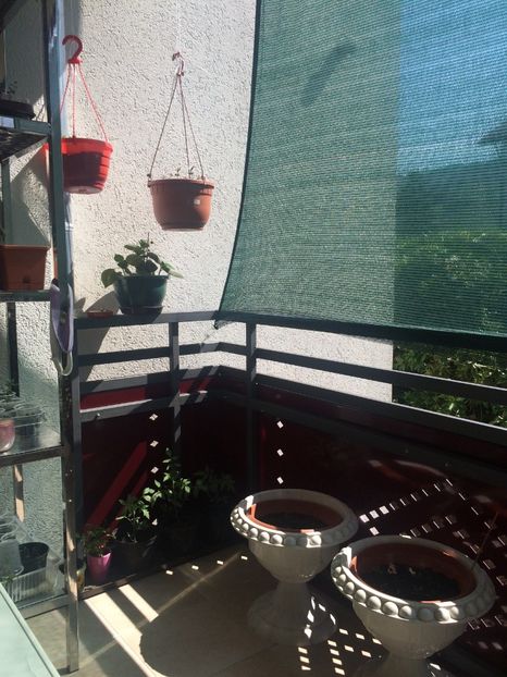 7.06.2019 - Balconul