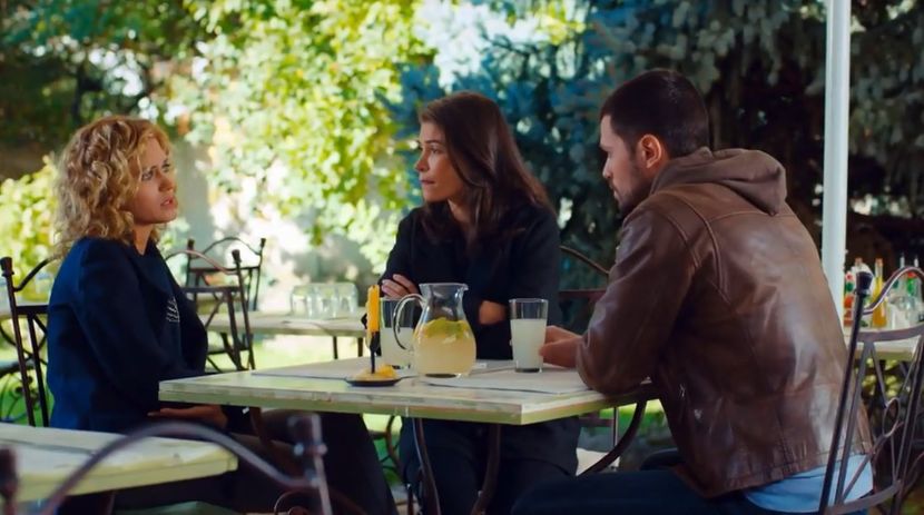 bandicam 2019-06-08 10-37-40-473 - 01 fructul oprit 02-11-04