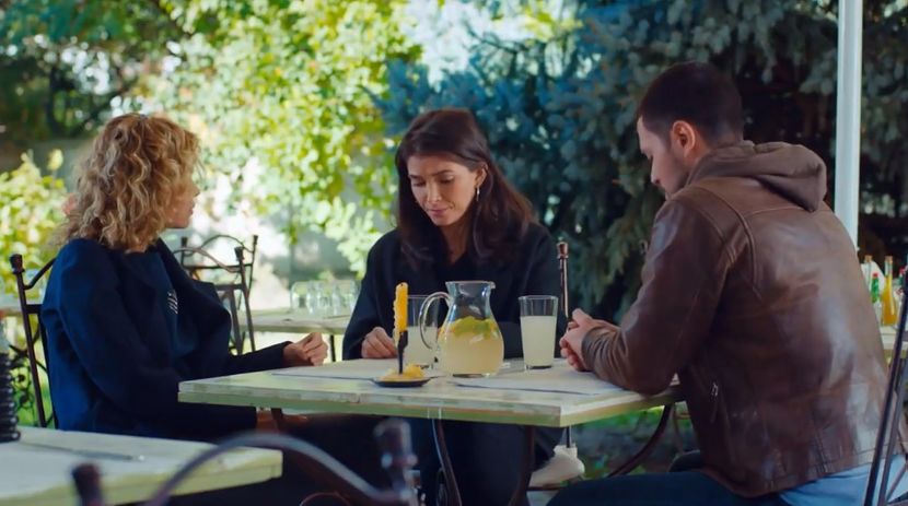 bandicam 2019-06-08 10-43-12-240 - 01 fructul oprit 02-11-05