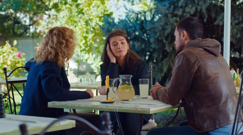 bandicam 2019-06-08 10-43-47-746 - 01 fructul oprit 02-11-05