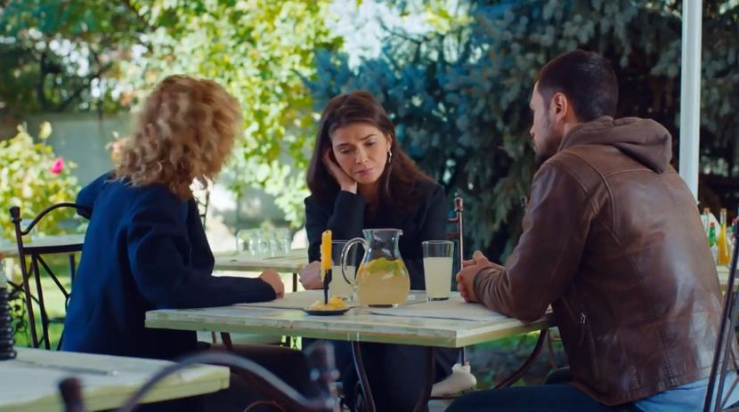 bandicam 2019-06-08 10-43-48-759 - 01 fructul oprit 02-11-05