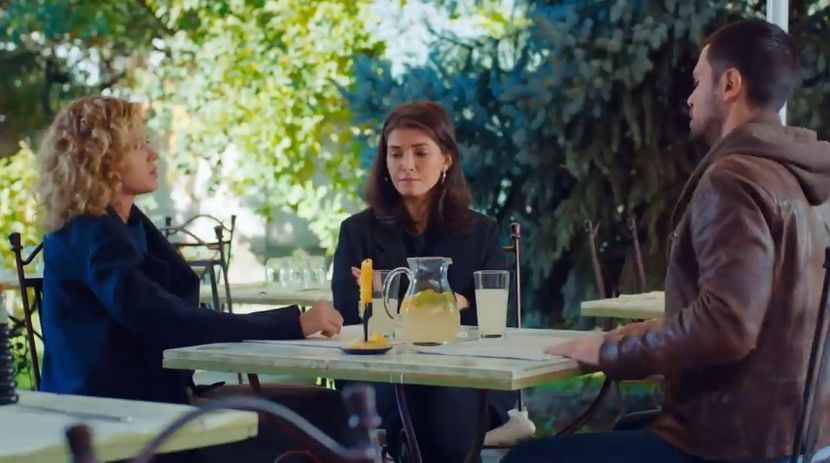 bandicam 2019-06-08 10-43-57-390 - 01 fructul oprit 02-11-05