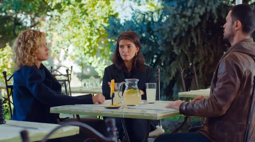 bandicam 2019-06-08 10-43-58-401 - 01 fructul oprit 02-11-05