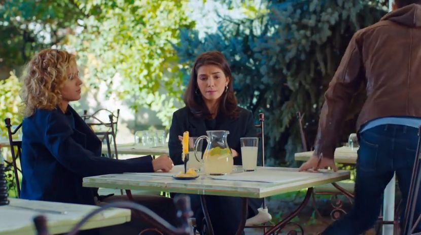 bandicam 2019-06-08 10-44-01-447 - 01 fructul oprit 02-11-05