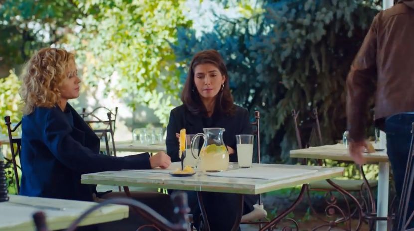 bandicam 2019-06-08 10-44-01-946 - 01 fructul oprit 02-11-05