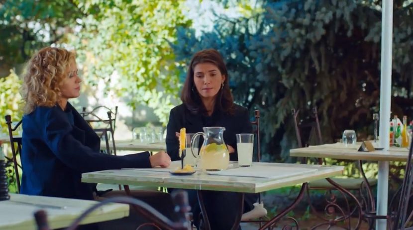 bandicam 2019-06-08 10-44-02-459 - 01 fructul oprit 02-11-05