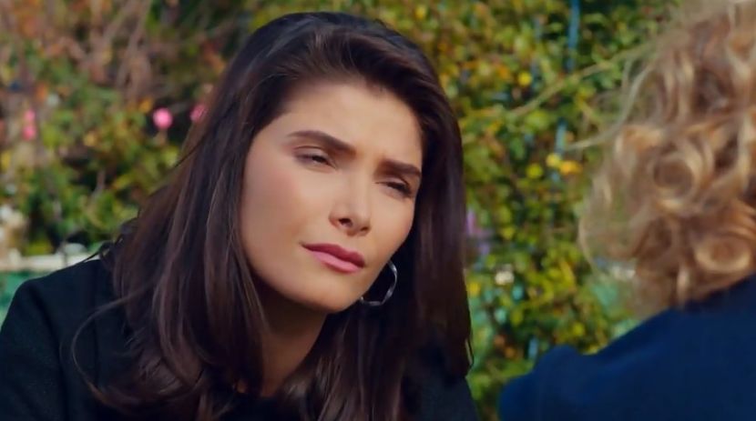 bandicam 2019-06-08 10-51-27-984 - 01 fructul oprit 02-11-05