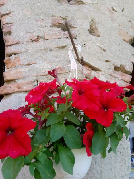  - Mixt de Floricele 2019