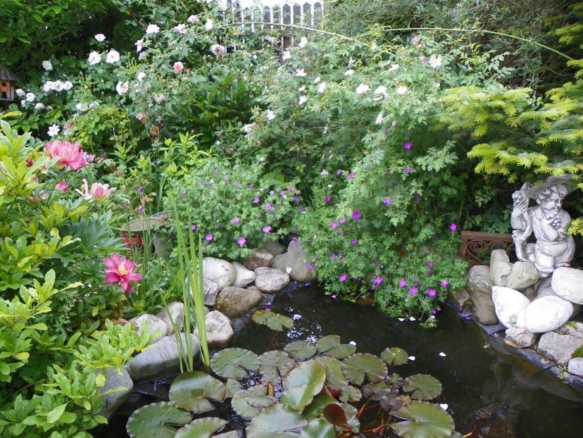 8 iun (24) - Gradina 2019