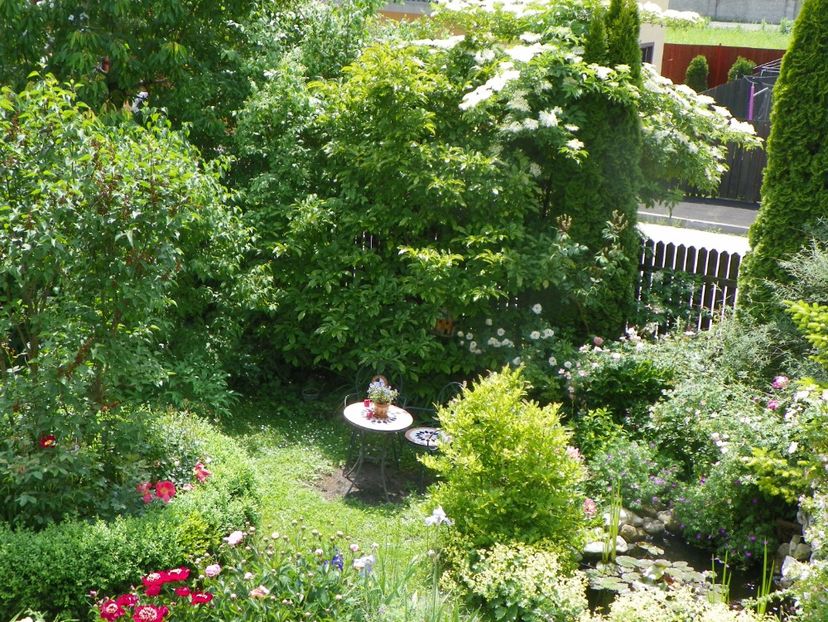 8 iun (106) - Gradina 2019