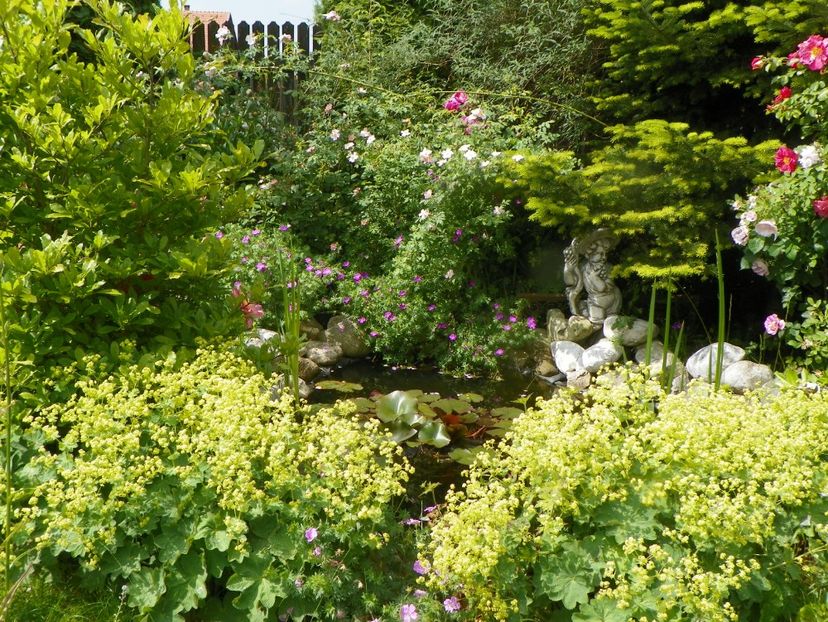 8 iun (115) - Gradina 2019