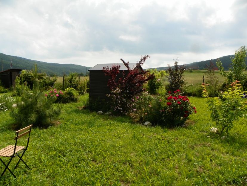 8 iun (260) - Dobarland 2019 2