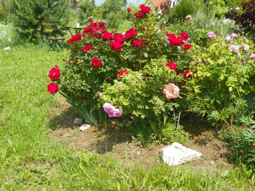 Zeelandia - Dobarland 2019 2