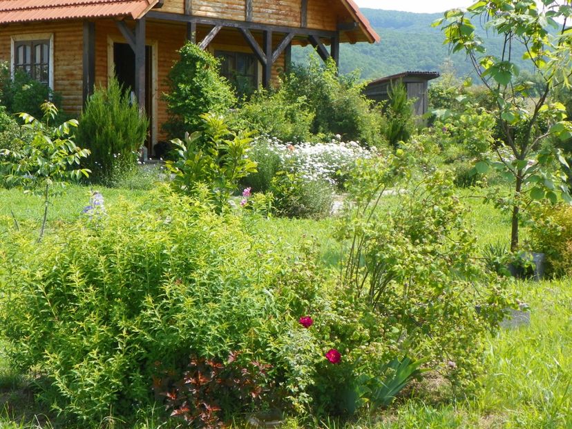 8 iun (586) - Dobarland 2019 2