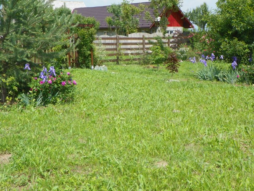 Scarlet Pavement - Dobarland 2019 2