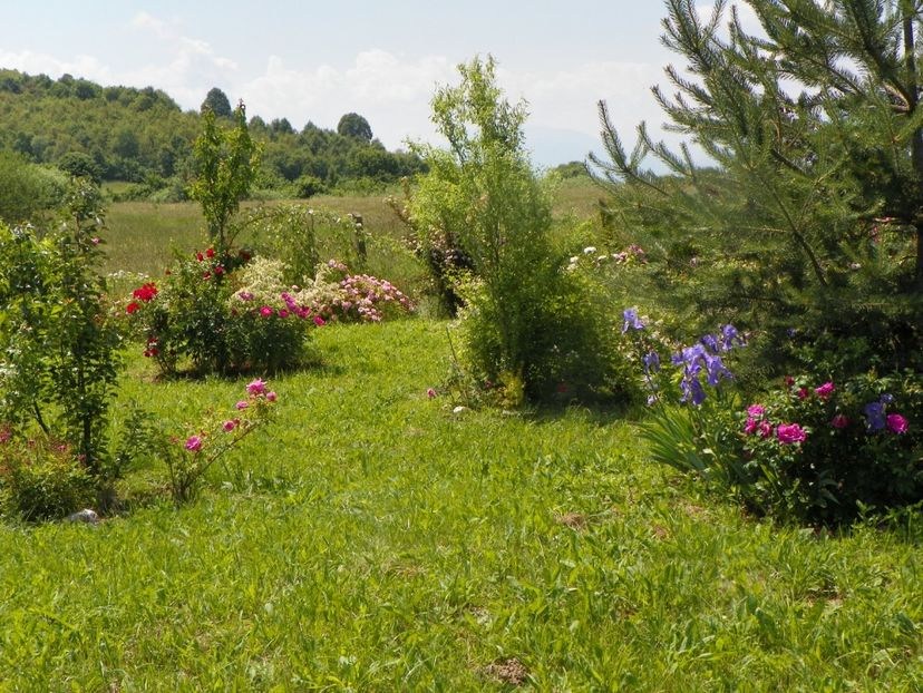 8 iun (626) - Dobarland 2019 2