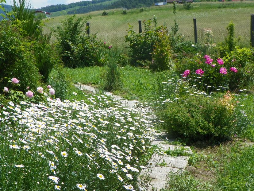 margarete, Dancing Butterfly - Dobarland 2019 2