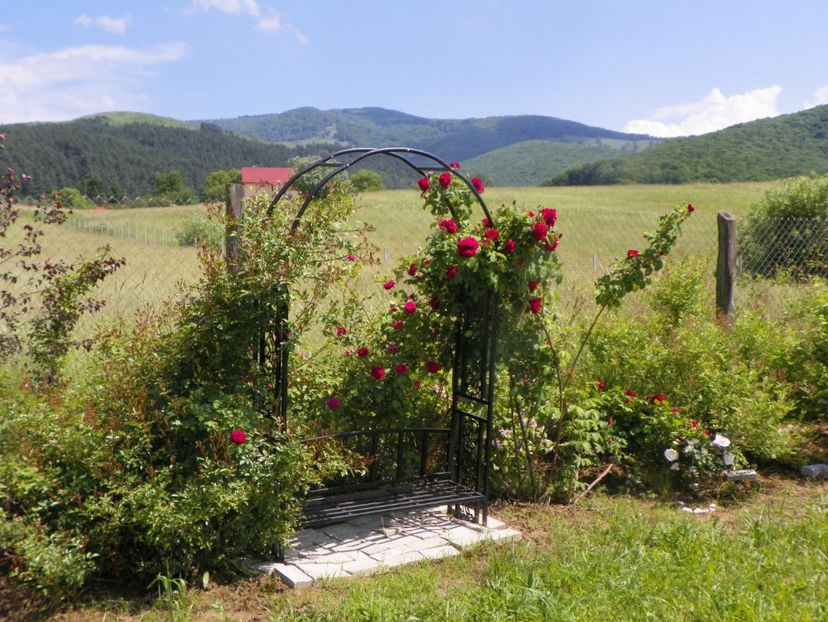 Ruskin - Dobarland 2019 2