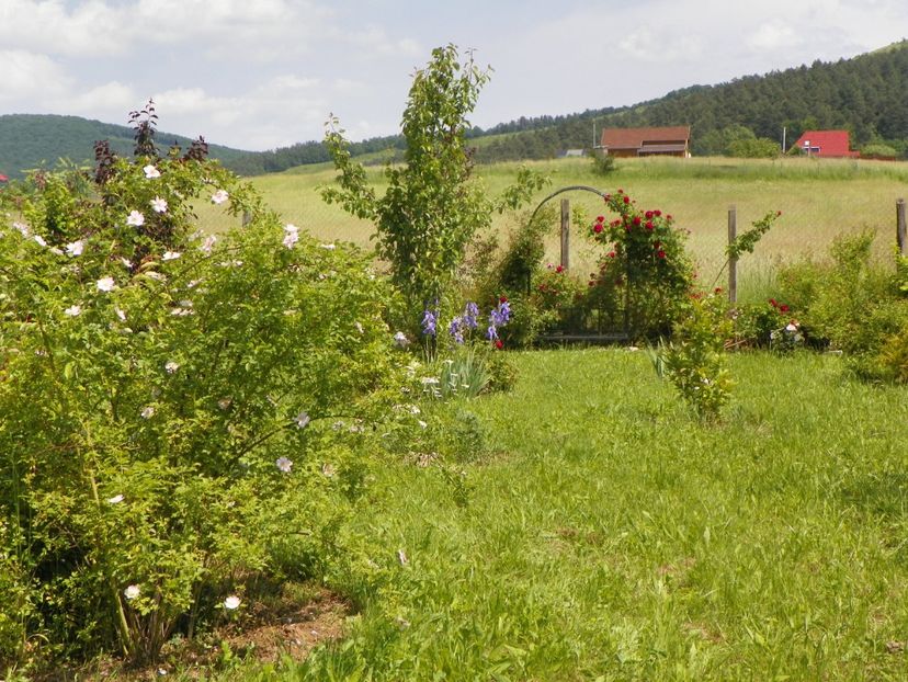8 iun (651) - Dobarland 2019 2