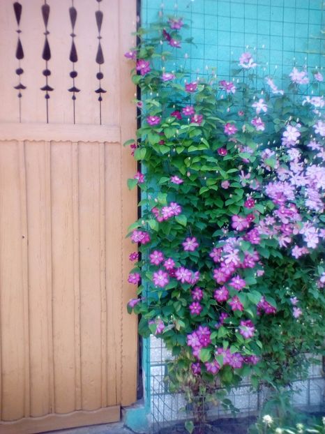 09 06 2019 - Ville de Lyon