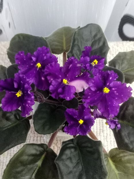 21 mai - Making Waves