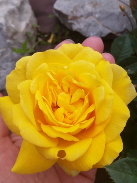  - The girl from yesterday