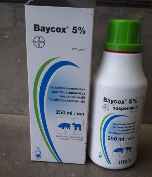  - 7-Medicamente-suplimente iepuri