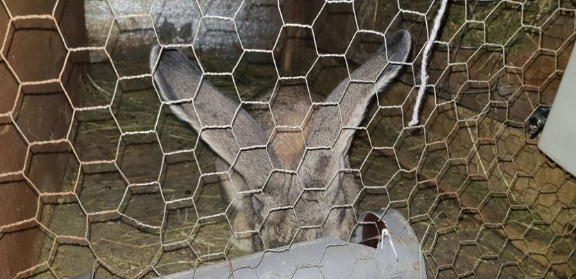  - 000 poze noi iunie 2019