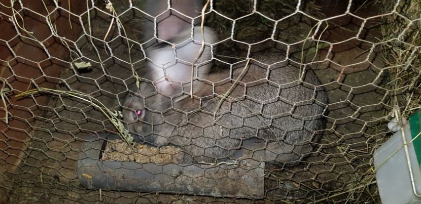  - 000 poze noi iunie 2019